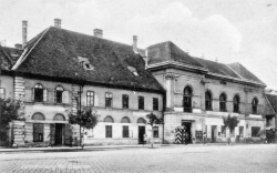 výstava