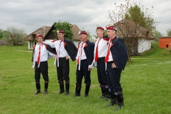 výstava